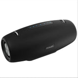 Ultimate Bluetooth Karaoke Speaker - High-Power Wireless Audio System for Family Entertainment