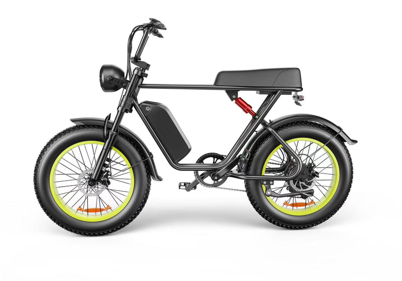 High-Performance C91 Electric Fat Tire Bike - 20 Inch 48V 1000W Motor