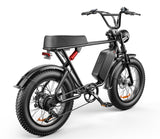High-Performance C91 Electric Fat Tire Bike - 20 Inch 48V 1000W Motor