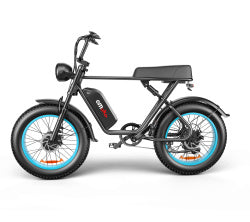 High-Performance Dual Motor Electric Bike - 48V 1000W x2 Power System