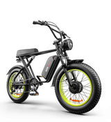High-Performance Dual Motor Electric Bike - 48V 1000W x2 Power System