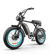 High-Performance Dual Motor Electric Bike - 48V 1000W x2 Power System