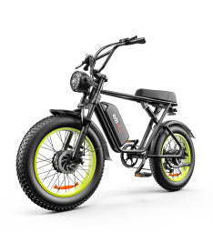 High-Performance Dual Motor Electric Bike - 48V 1000W x2 Power System