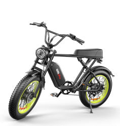 High-Performance Dual Motor Electric Bike - 48V 1000W x2 Power System