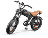 High-Performance 20" Fat Tire Electric Bike - 1000W Motor, 75KM Range