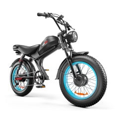 High-Performance Dual Motor Electric Bike - 48V 1000W x2 Power System