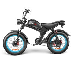 High-Performance Dual Motor Electric Bike - 48V 1000W x2 Power System