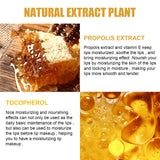Honey Bee Lip Mask - Moisturizing Exfoliating Lip Care Treatment