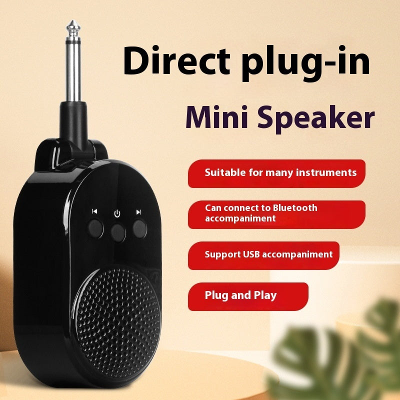Professional Mini Sound Amplifier - Portable Electric Blowpipe Speaker with Direct Plug-in