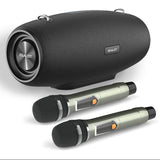 Ultimate Bluetooth Karaoke Speaker - High-Power Wireless Audio System for Family Entertainment