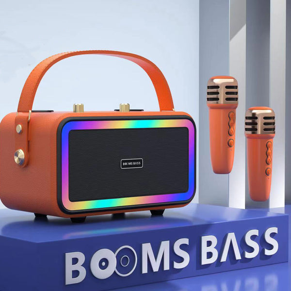 Wireless Karaoke Bluetooth Speaker with Dual Microphones - Portable Sound System