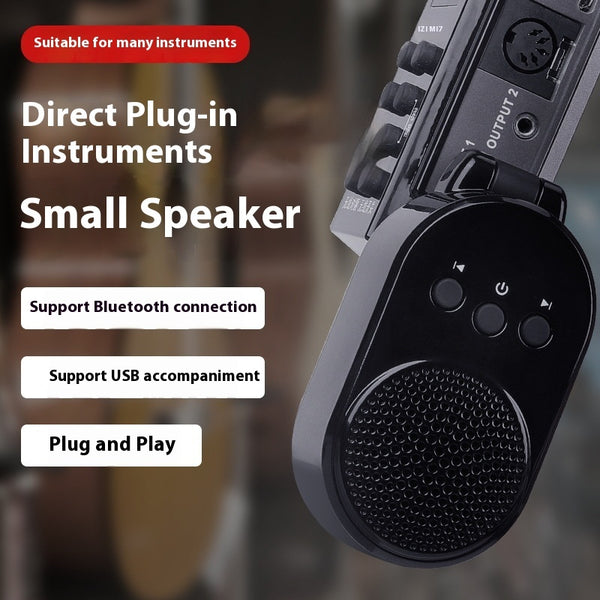 Professional Mini Sound Amplifier - Portable Electric Blowpipe Speaker with Direct Plug-in