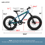 V20235 20 Inch Fat Tire Bike 7 Speed Mountain Bike, Dual Disc Brakes, High Carbon Steel Frame, Front Suspension, Mountain Buggy, City Commuter City Bike, Fat Tire Bike
