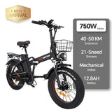 DRVETION AT20 Electric Bicycle - 750W Motor, 48V Battery, 45KM/H Max Speed
