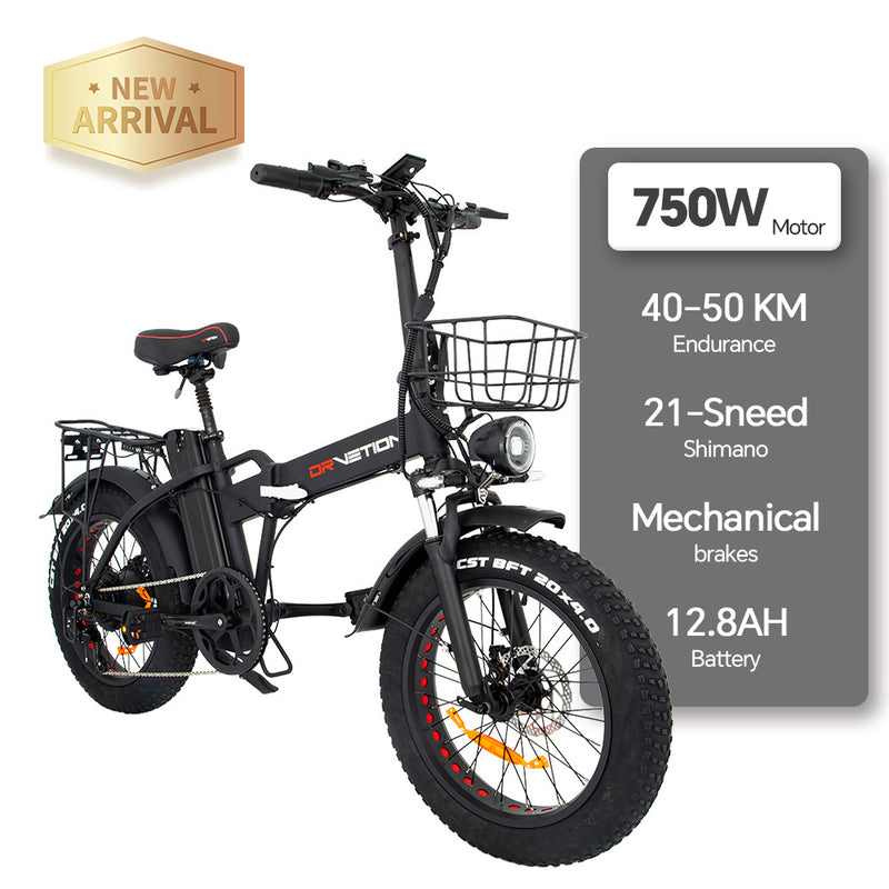 DRVETION AT20 Electric Bicycle - 750W Motor, 48V Battery, 45KM/H Max Speed