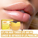 Honey Bee Lip Mask - Moisturizing Exfoliating Lip Care Treatment