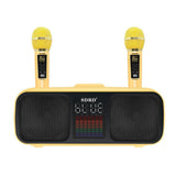 Premium Wireless Bluetooth Desktop Speaker with Dual Drivers & Built-in Microphone - SD318