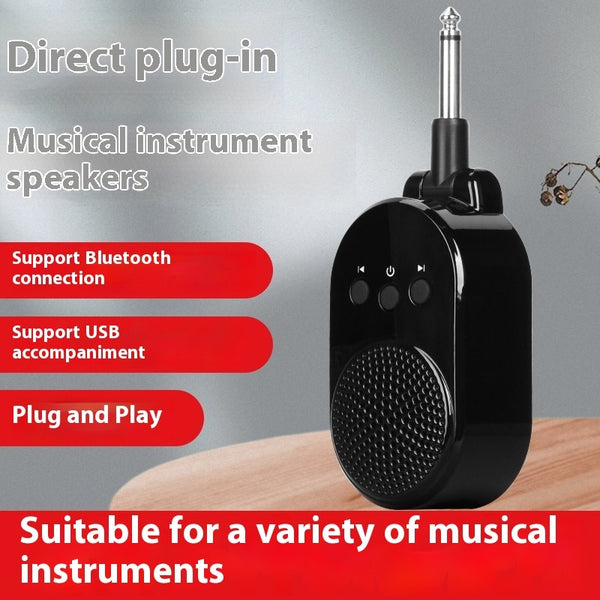Professional Mini Sound Amplifier - Portable Electric Blowpipe Speaker with Direct Plug-in