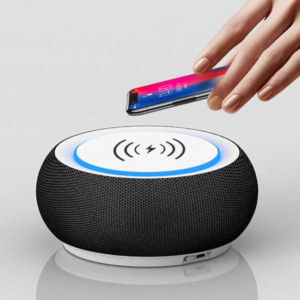Premium Wireless Bluetooth Speaker - Dual Subwoofer High Volume Sound System