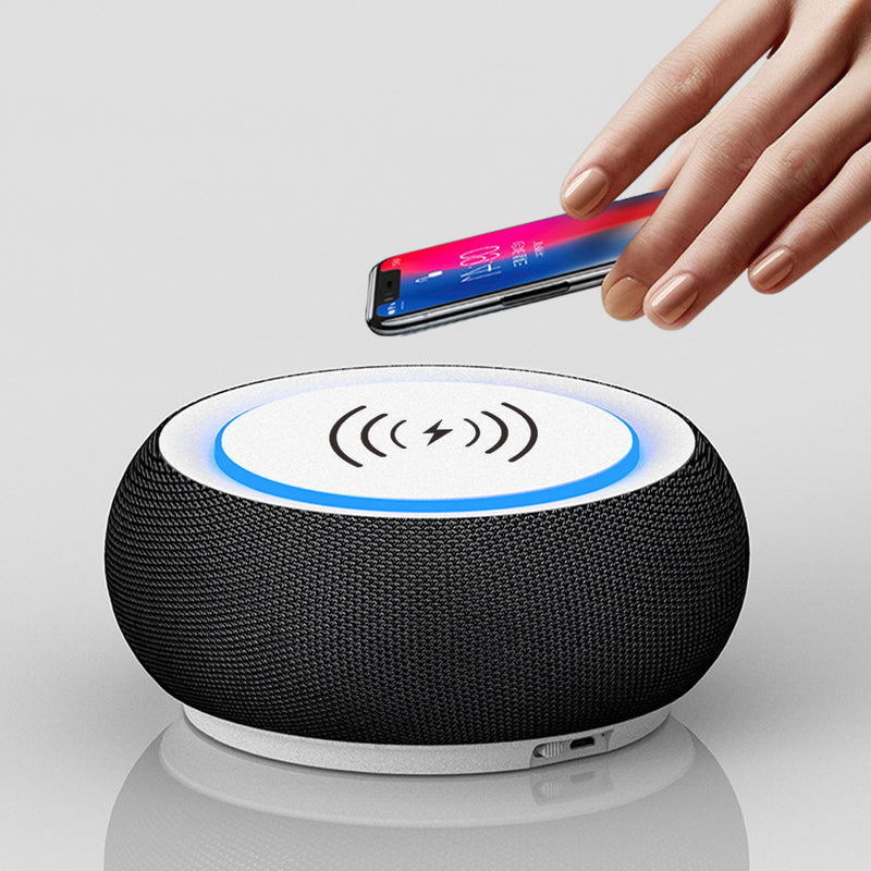 Premium Wireless Bluetooth Speaker - Dual Subwoofer High Volume Sound System