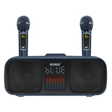 Premium Wireless Bluetooth Desktop Speaker with Dual Drivers & Built-in Microphone - SD318